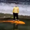 aidenrandall_ - @aidenrandall_ - TikTok
