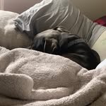 Aiden Randolph - @siphtz - Instagram