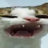 Aiden reid - @a1d3nr - TikTok