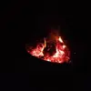 aidenreilly - @aidenreilly62 - TikTok