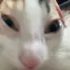 Aidan Reiter - @aidanreiter - TikTok