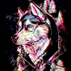 Aiden Rice - @aidenrice3 - TikTok