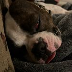 Aiden Rice - @aiden_rice08 - Instagram