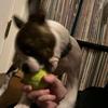 aidenrice - @aiden.rice2008 - TikTok