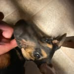 Aiden Rios - @aiden_rios1 - Instagram