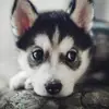 Aiden Robbins - @aiden.robbins - TikTok