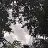 aidenrobbins0 - @aidenrobbins0 - TikTok