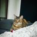 Aiden Robinson - Facebook