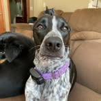 Aiden Roth - Facebook