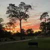 aiden.roth1 - @aiden.roth1 - TikTok