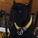 Aiden Rowe - @aiden.rowe.399 - Instagram