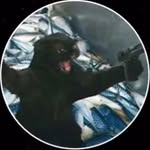 Aiden Saenz - @that_salsa_chip - Instagram