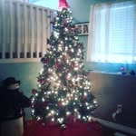 aiden sampson - @aiden_spam22 - Instagram