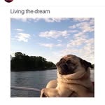 Aiden Sargent - @aidensargent - Instagram