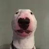 Aiden Schafer - @cosplay.one1 - TikTok