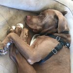 @aiden.schultz - Instagram