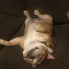 Aiden Schwartz - @aiden.schwartz69 - TikTok