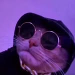 aiden sears - @aiden.is.super.cool - Instagram