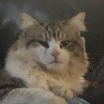 Aiden Patrick - @aidenself08 - Instagram