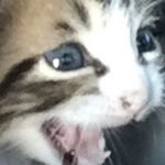 Aiden Self - @dookie_cubes - Instagram