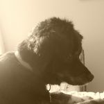 Aiden Sharp - @aiden_sharp_992 - Instagram