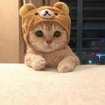 Aiden Singh - @badboy_joker_123_ - Instagram