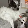 Aidan Spence - @aidan.spence - TikTok