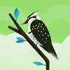 Aiden Stark - @aiden.stark - TikTok