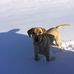 Aiden Strom - Facebook