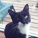 Aiden Stuart - @nogoodusername21 - Instagram
