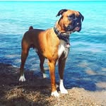 Aiden Stuart - @_aidenstuart_ - Instagram