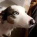 Aiden Swain - Facebook