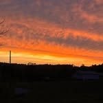 Aiden Swartz - @aidenswartz22 - Instagram