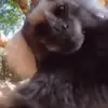 aidenteague777 - @aidenteague777 - TikTok