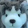 aidentewari122 - @aidentewari122 - TikTok