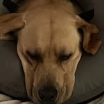 Aidan Tighe - @aidant0521 - Instagram