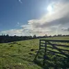 aiden_torpey - @aiden_torpey - TikTok