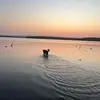 @ - @aaiden.tucker - TikTok