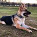 Aiden Tyler - Facebook