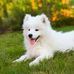 Aiden Tyler - Facebook