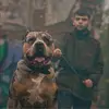 Aiden Vincent - @aiden.vincent - TikTok
