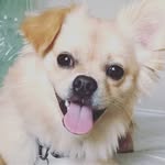 Aidan Waldrop - @thomas_a_waldrop - Instagram