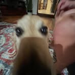 Aiden Wall - Facebook