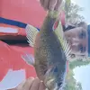 Aiden Wallace - @aiden.wallace68 - TikTok