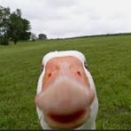 Aiden Waller - Facebook