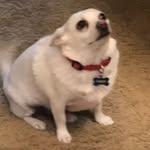 Aiden Walterscheid - @aiden_walterscheid - Instagram