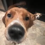 doubledouble12 - @aidenware23 - Instagram