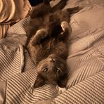 Aiden West - Facebook