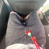 aidenwestwood.xx - @aidenwestwood.xx - TikTok