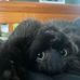 Aiden Weston - Facebook